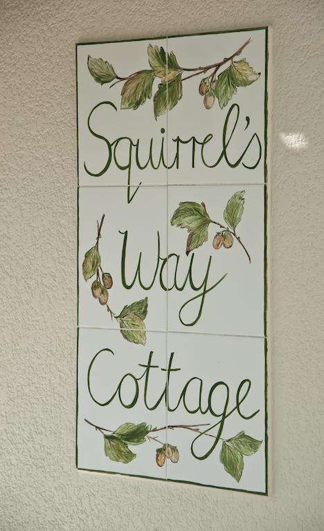 Squirrels Way Cottages Città del Capo Esterno foto